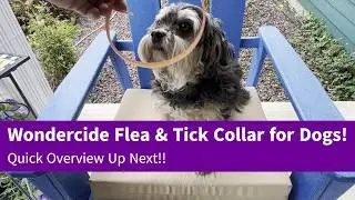 Wondercide Flea, Tick & Mosquito Repellent Collar w/ Natural Essential Oils Quick Review