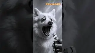 Dogs vs Nail Clippers: The Drama Is Real! 😂🐾 #wildlife #cat #funny