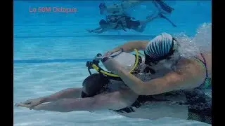 50M Octopus