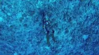 Guam Spearfishing - 