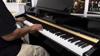 Delta Piano DDP5 with Mr Bluesman
