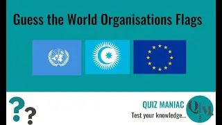 Guess the World Organisations Flags