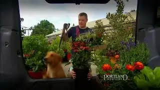 Portland nursery opb promo
