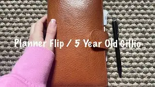 Personal Rings Planner Flip / 5 Year Old Gillio // Pink Planner Girl