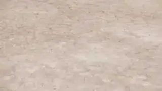 ADAM DYET - KICKFLIP MANUAL STE'