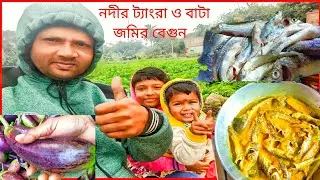 নদীর ট্যাংরা বাটা মাছ জমির টটকা বেগুন দিয়ে বানিয়ে দেখুন পুরো আলাদা লেবেলর স্বাদ river fish curry