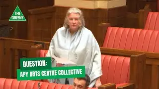 Question: APY Arts Centre Collective