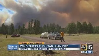 How does 'forest thinning' help prevent wildfires?