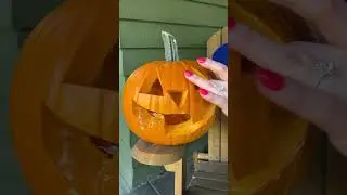 🎃 Coat carved pumpkins with petroleum jelly to make them last longer! #pumpkin #halloween