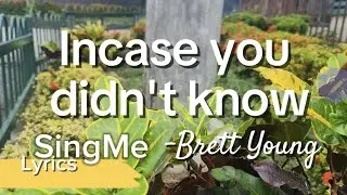 Incase You didn't know - Brett Young