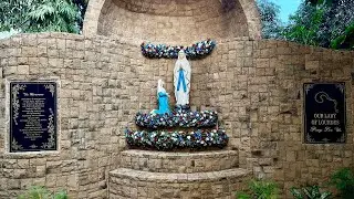 Eucharistic Celebration | January 24 | Our Lady of Lourdes Church, Orlem, Malad, Mumbai