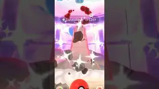 🔥11 БЛЕСТЯЩИХ ЗА 1 ДЕНЬ🔥 Pokemon GO! #pokemongo #pokemongolive #shinypokemon