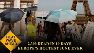 2,300 deaths in 10 days due to European heatwave | Study finds | Daily News English