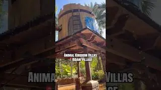Our Favorite Disney Hidden Gem - Samawati Springs at AKL Kidani Village
