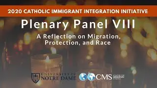 Plenary Panel VIII: A Reflection on Migration, Protection, and Race