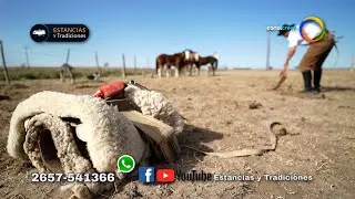 107 Capitulo: Lucho Domingo (bloque 2) Estancias y Tradiciones