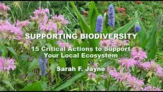 Supporting Biodiversity 021226 1402