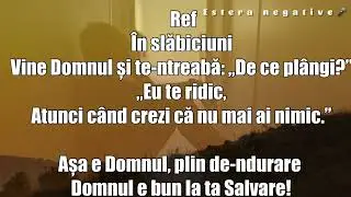 Negative ton fata - &icirc;n slăbiciuni @robertdinbarbulestioficial3750 