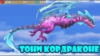 🐉Hungry Dragon Обзор на (Тони Кордраконе)🐉