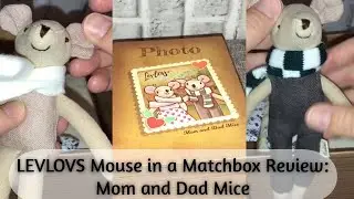 LEVLOVS Mouse in a Matchbox Mom and Dad Mice Review | ASMR Soft Spoken
