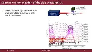 Multiphoton Absorption Excited Upconversion Luminescence in Multimode Optical Fiber - ECOC2020