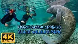 A Scenic Tour of the Ellie Schiller Homosassa Springs Wildlife State Park (Homosassa Springs, FL)