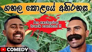 ගහල කොළයේ අභිරහස !! (An exclusive ට්‍රැක් content) 😂
