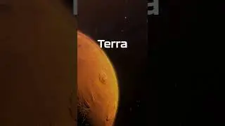 Terra Album Release Concert - 3rd teaser #musicrecording #livemusic #musicconcert #musicconept