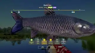 RF4 Black Carp at Bear Lake | No Talking