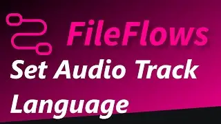 FileFlows - Set Audio Track Language
