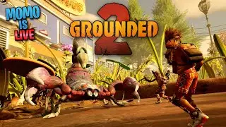 GROUNDED 2 | AAJ BASE BANAKE RAHUNGI  ||