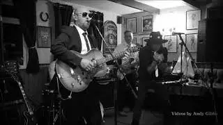 I'm A King Bee - The Terraplanes Blues Band