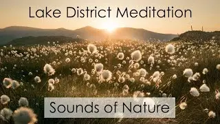 Relaxing Sounds of Nature | Farmyard Garden, The Lake District, UK | Study-Sleep-Meditation-Birdsong