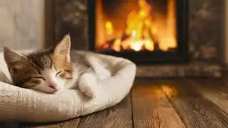Cozy Fireplace and Purring Cat 24 Hrs 🔥 ASMR Sound for Deep Sleep, Healing Insomnia, Overcome Stress