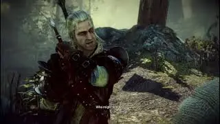 The witcher 2 Assassins of Kings