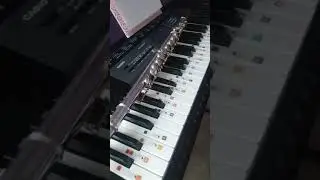 The Meaning of Music and Art