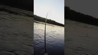 Take 11 Midnight at The Wires Varzuga River Russia 28 May 2014 #Russia #fishing#atlanticsalmon #fish
