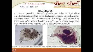 BI81   DANIEL DA SILVA ANDRADE