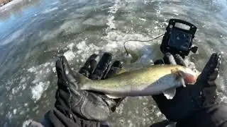 Fox river fire Bite!!!! (GIANT FISH)!!!