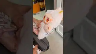 открываем нового лабубу☺️🫣🌺🌸