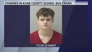 Drugged DUI charge for 18-year-old driver in Kane County crash that killed siblings: report