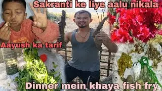 Sakranti ke liye aalu nikala // Dinner mein khaya Fish fry