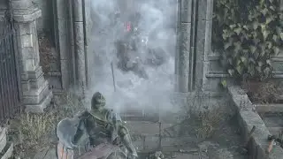 Red-eyed Knight Through Fog Wall - Demon's Souls