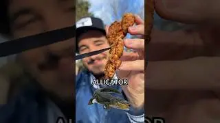Alligator Meat Boneless Wings