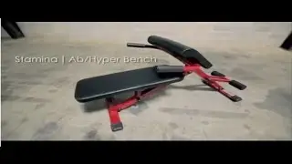 Stamina | X Ab/Hyper Bench