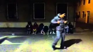 harlem shake verona