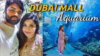 Dubai Mall Aquarium and Underwater Zoo