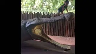 Kalia Hyland at Australia Zoo
