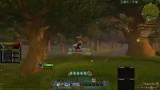 World of Warcraft - Noble Flying Carpet Farm
