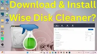 How to Download & Install Wise Disk Cleaner on Windows 11?
